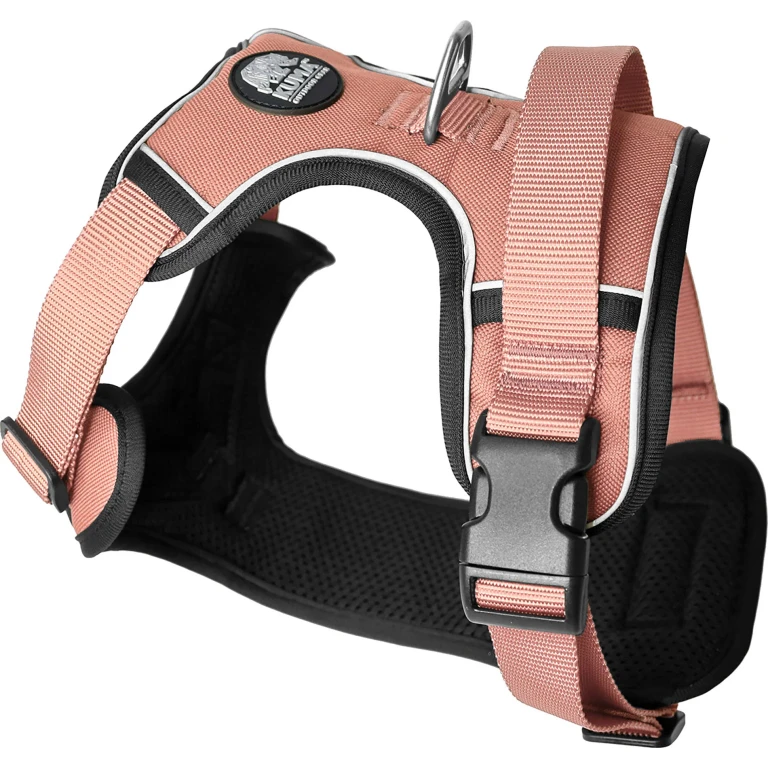 Lazy Bear Dog Harness