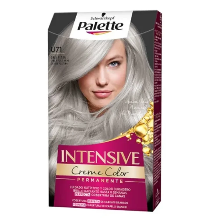 Palette Intensive Color Dye Cream U71 Gray Silver