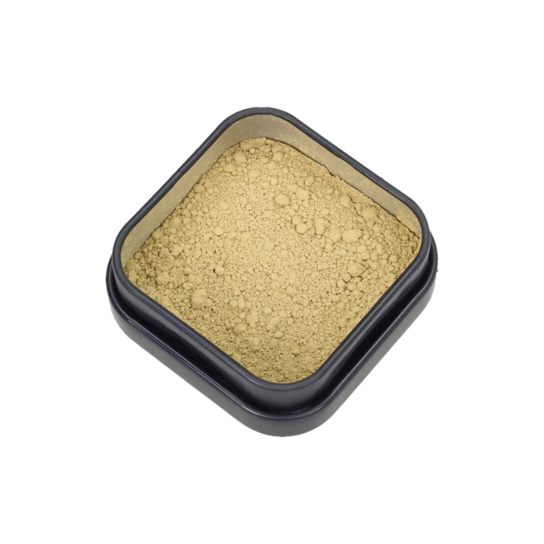 Foundation, Charlotte (8 G)