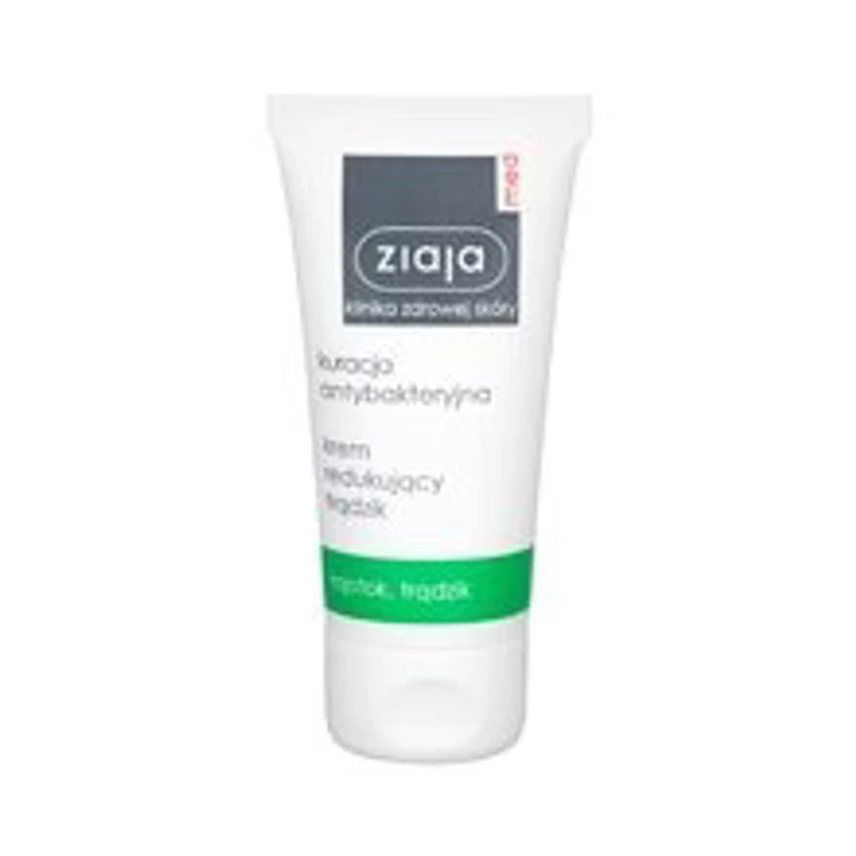 Antibacterial Treatment Anti-Acne Cream - Day Cream 50 ml