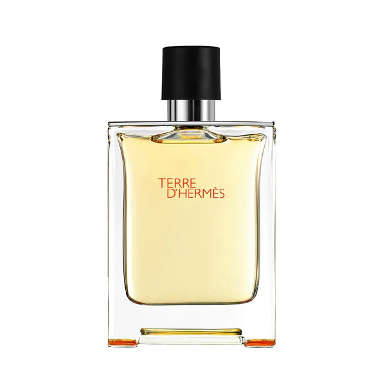 Terre d'Hermès Eau de Toilette Spray