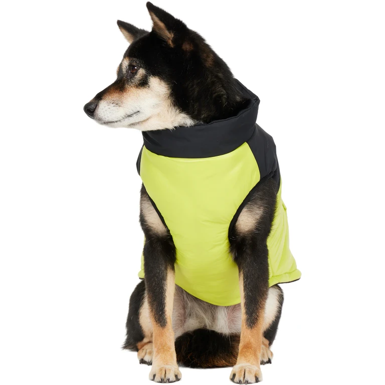 Derby Mixed Media Sporty Jacket with Zipper Back and Patch for Dogs