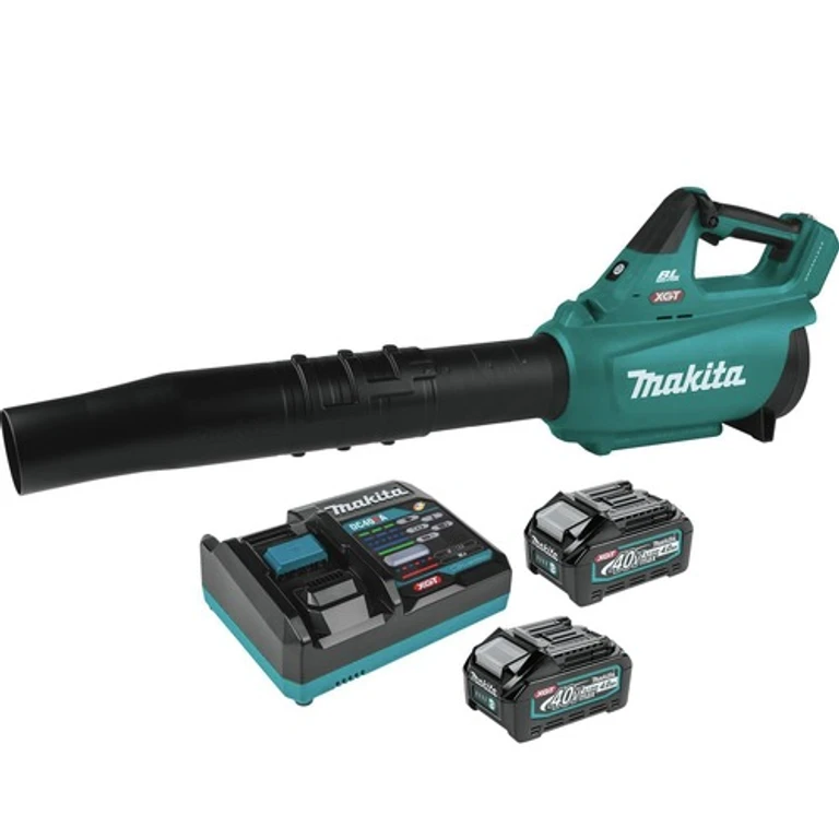 40V max XGT Brushless Lithium-Ion Cordless Blower Kit with 2 Batteries Bundle (4 Ah)