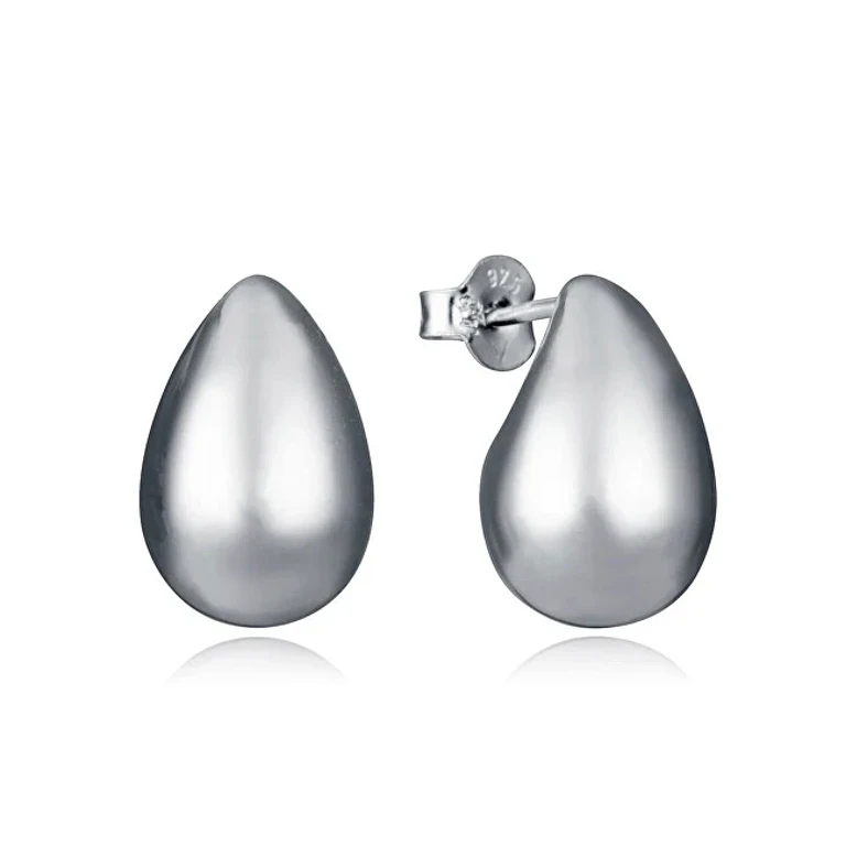Silver Drop Earrings 2314E000-00