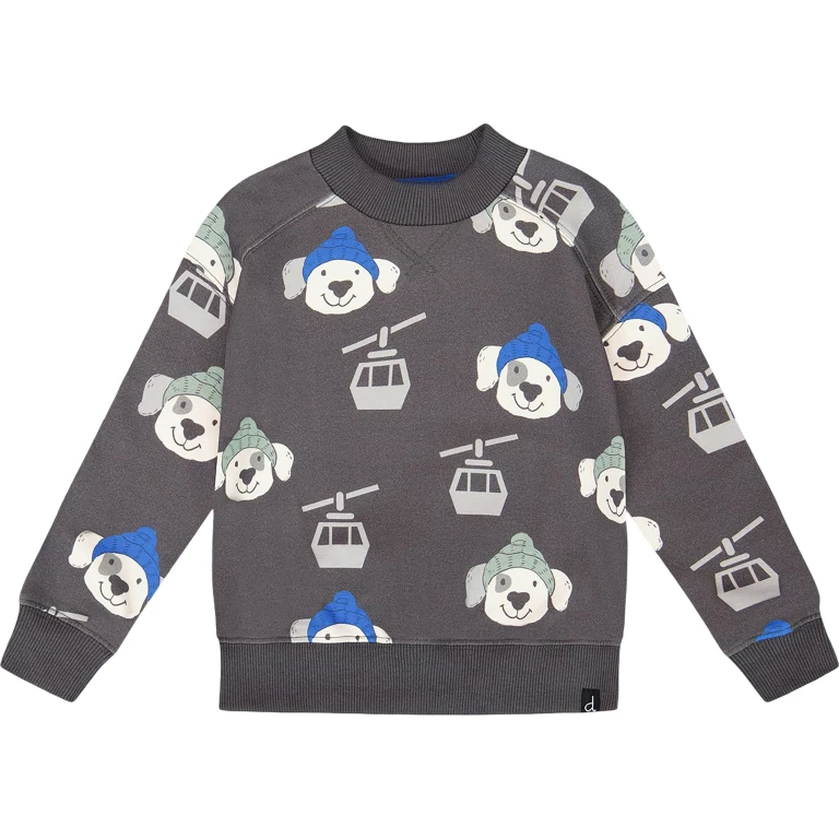 Fleece Pullover Sweatshirt - Little Boy
