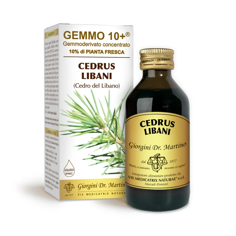 gemmo 10+ cedar of lebanon 100 ml non-alcoholic liquid