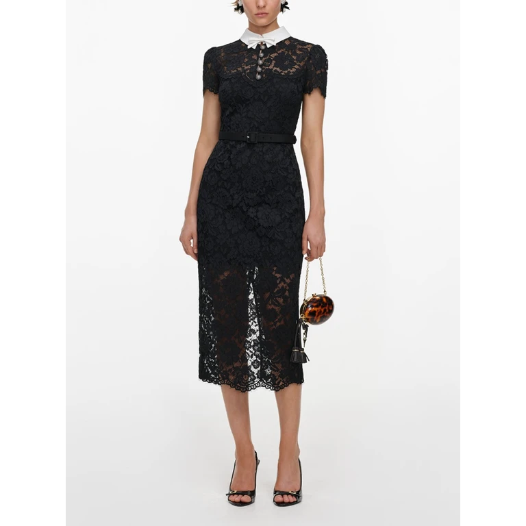 Lace Contrast Collar Midi Dress