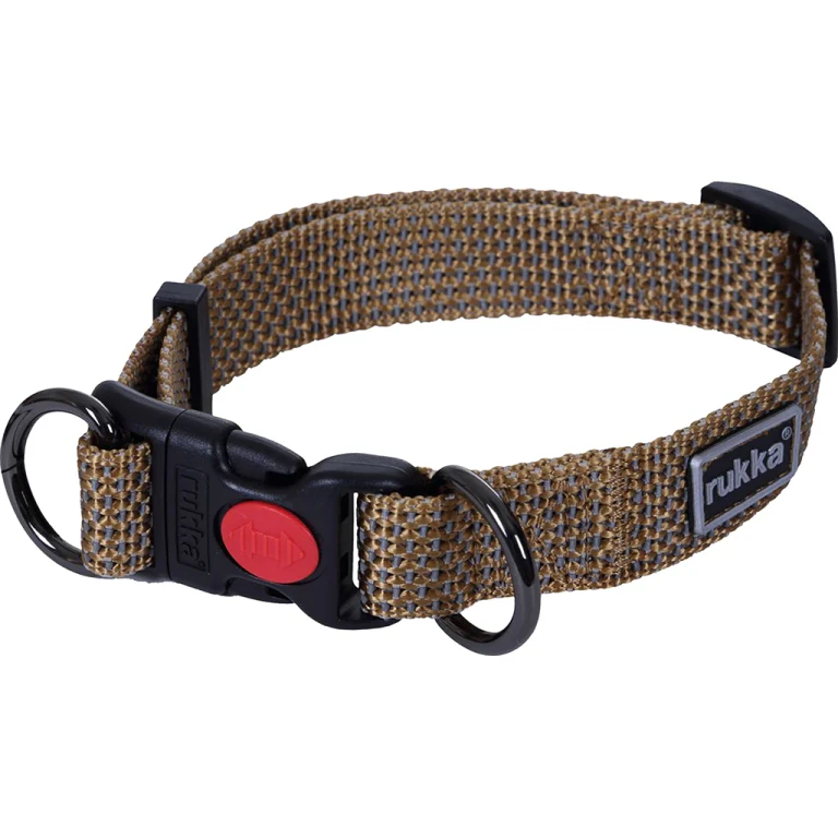 Star Dog Collar - XSmall