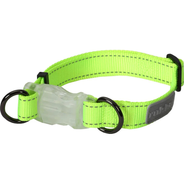 Neon Light Dog Collar - Large
