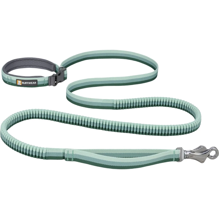 Roamer Bungee 5.5'-7' Dog Leash