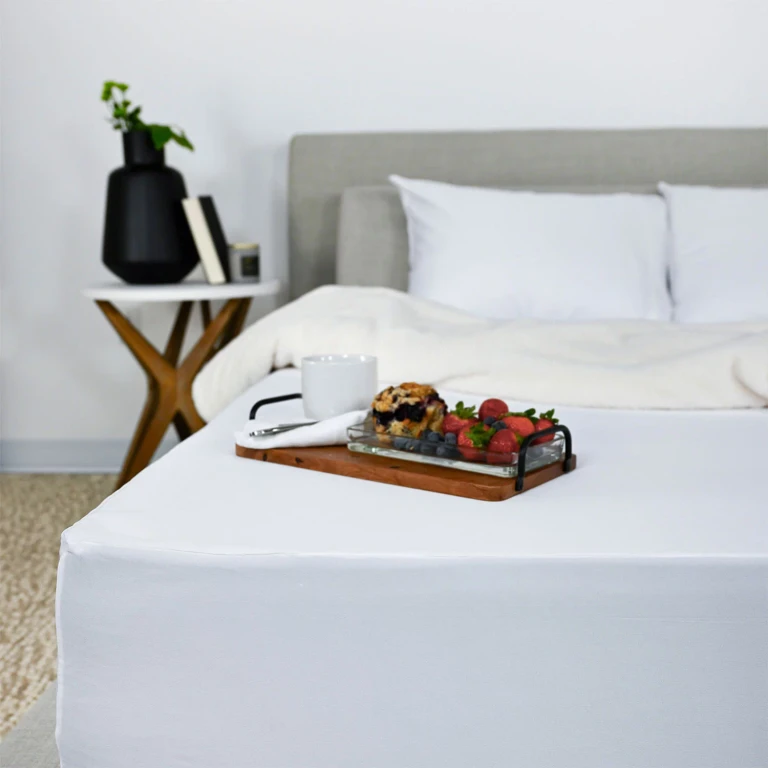 Waterproof Dust Mite and Bed Bug Mattress Protector- Twin:- Twin