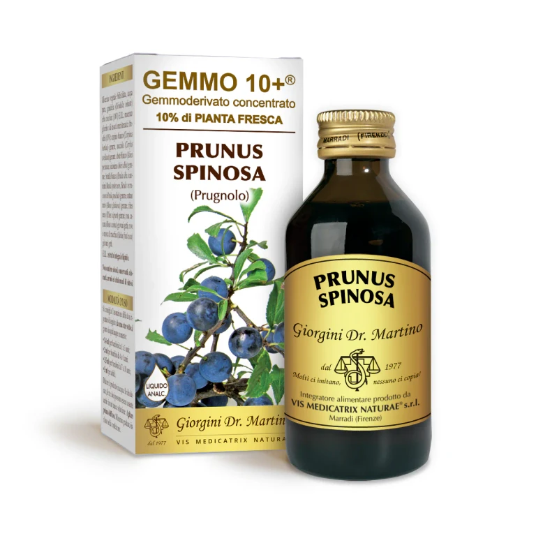gemmo 10+ blackthorn 100 ml non-alcoholic liquid