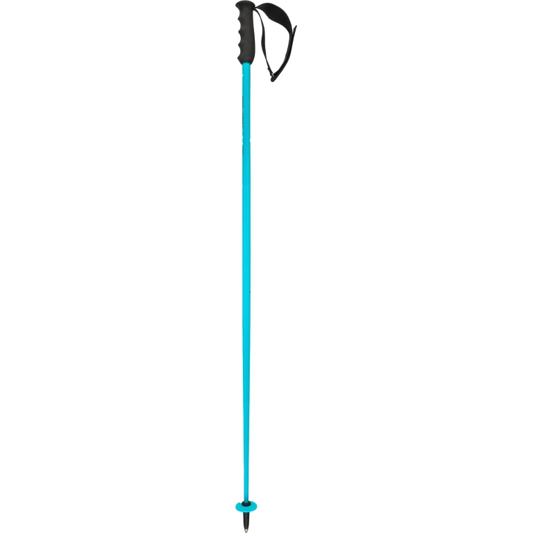 Worldcup SL Poles