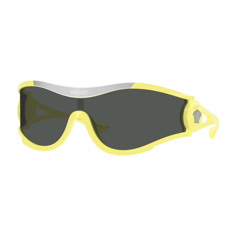 Unisex Black Shield Sunglasses VE4475 548687