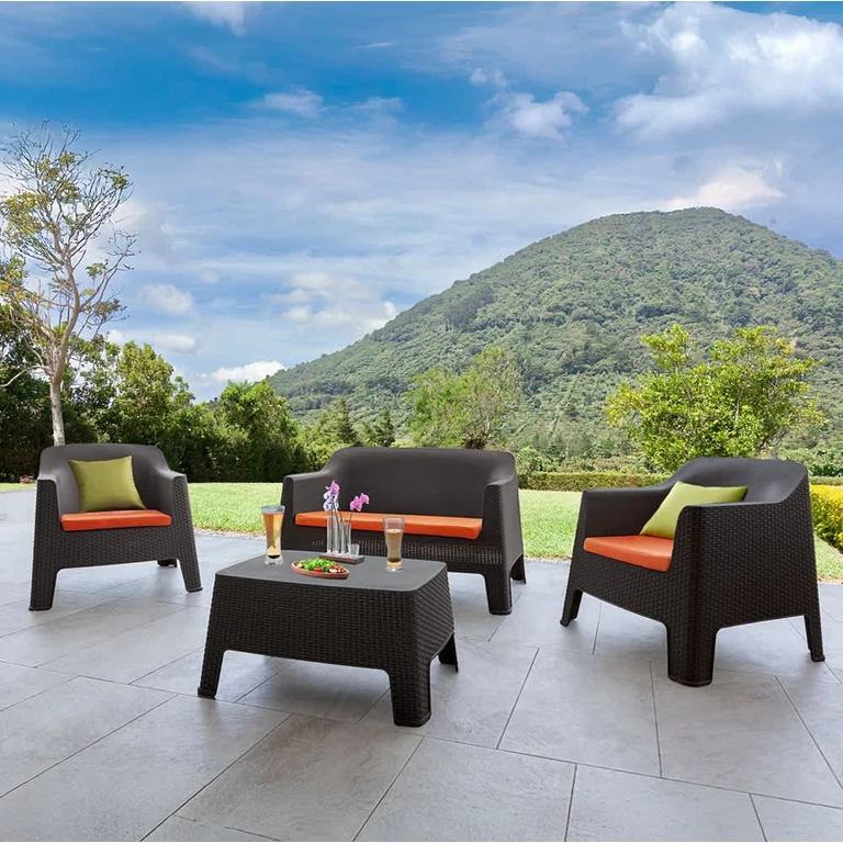 Espresso 4-Piece Resin Rattan Living Set with Cushions