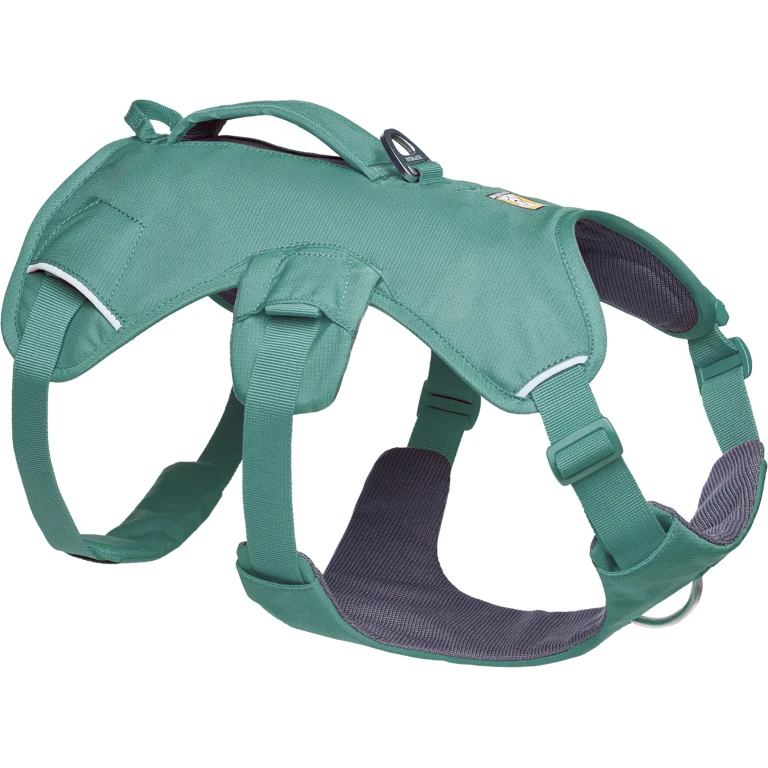 Web Master Dog Harness with Handle