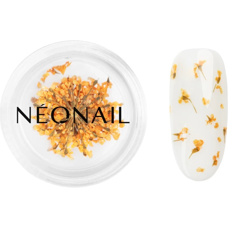 Dried Flowers dry flower for nails orange color