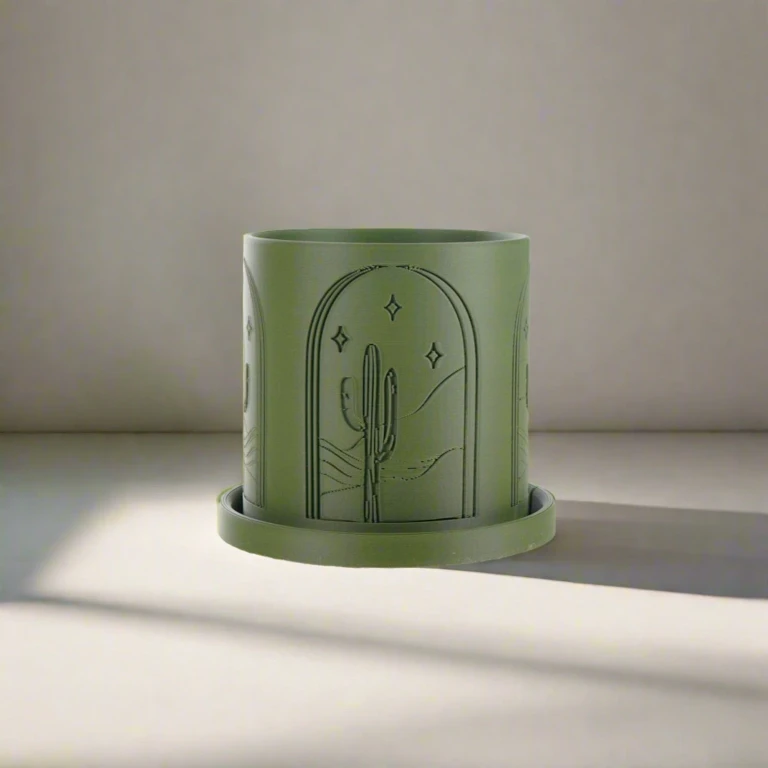 Cactus Planter