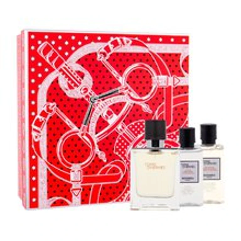 Hermes Terre D´Hermes SET Eau de toilette 50 ml + Shower gel 40 ml + aftershave water 40 ml