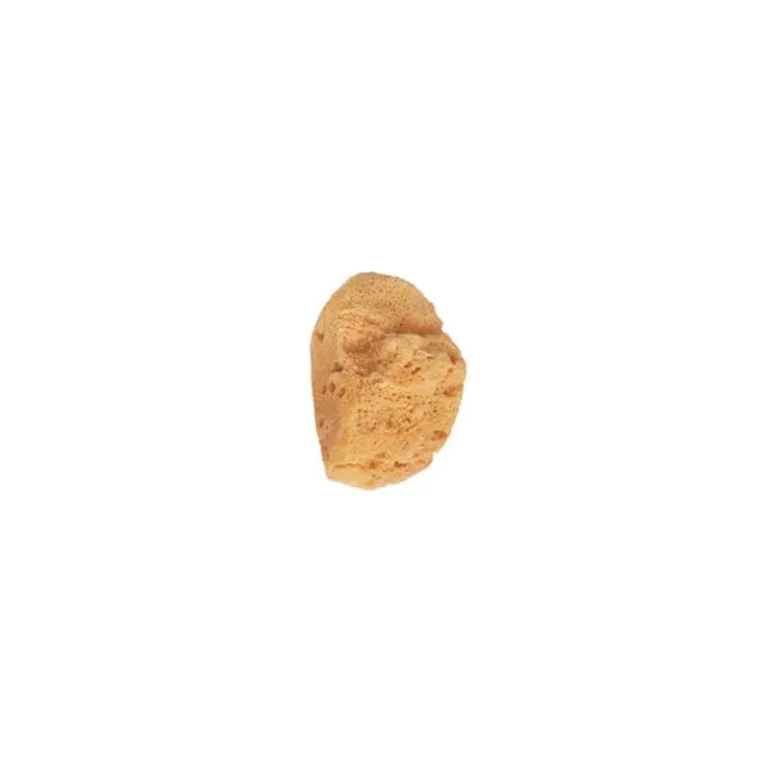 Small natural sea sponge