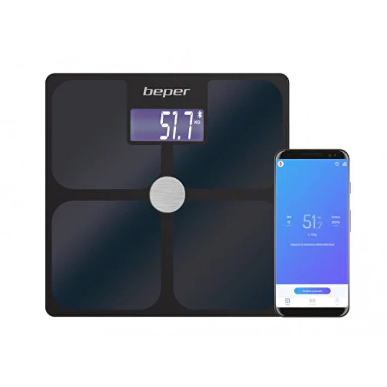 Personal Analytical Balance P303Bip050