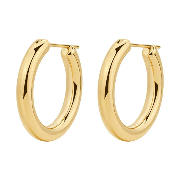 Aura Gold Plated Hoop Earrings BAU25