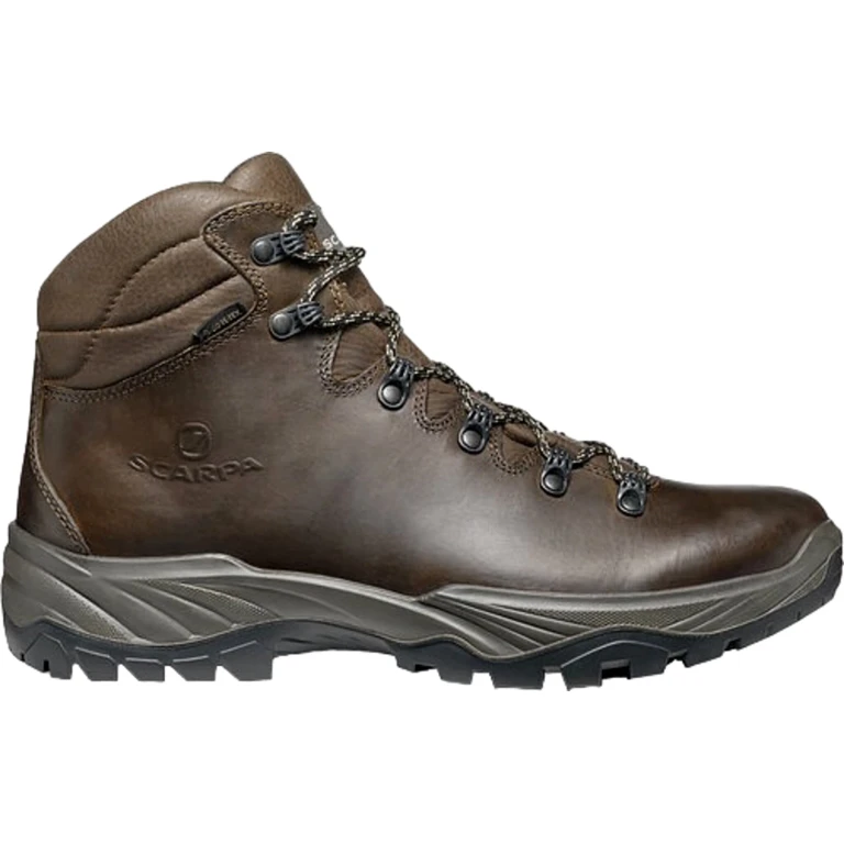 Terra GTX Hiking Boots - Men's