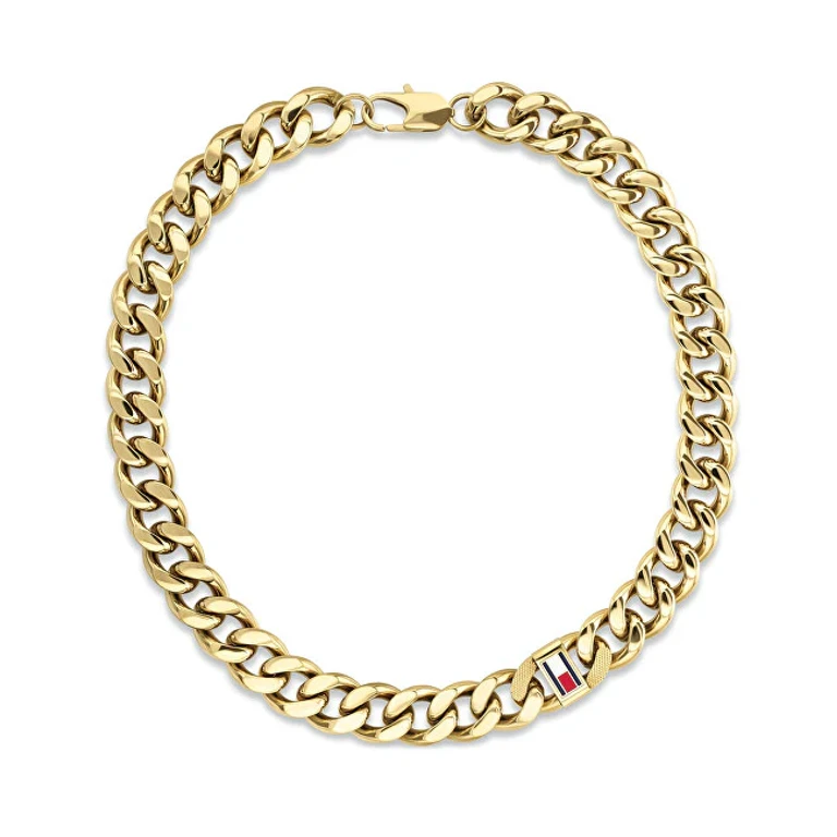 Massive Gold-Plated Necklace for Men Wild 2790636