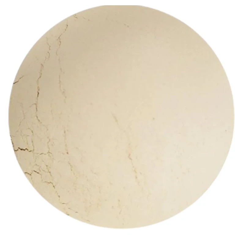 Beige Face Concealer Refill (5 g)