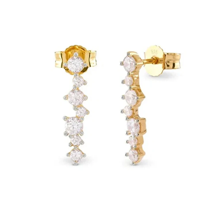 Gold-Plated Drop Earrings with Cubic Zirconia Jardin Jsbe04490Jwygt/U
