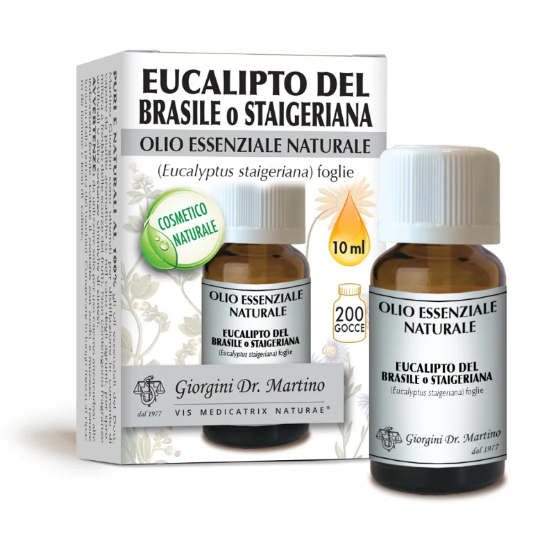 Brazilian Eucalyptus or Staigeriana OEN 10 ml