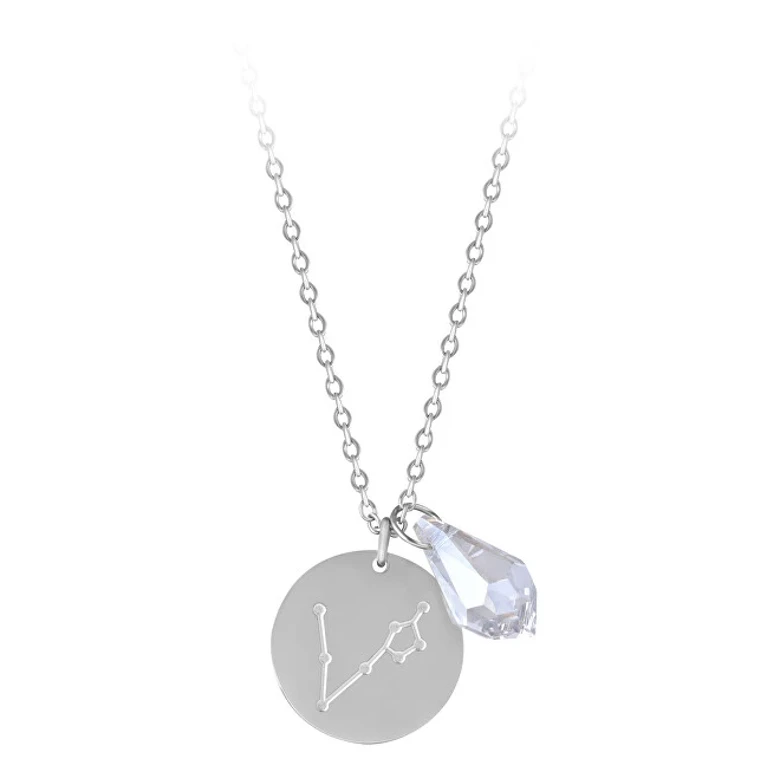 Steel Fish Necklace with Zircon (Chain, 2 Pendants)