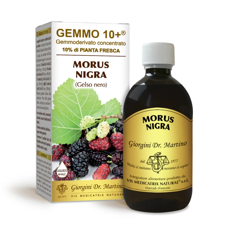 gemmo 10+ black mulberry 500 ml non-alcoholic liquid