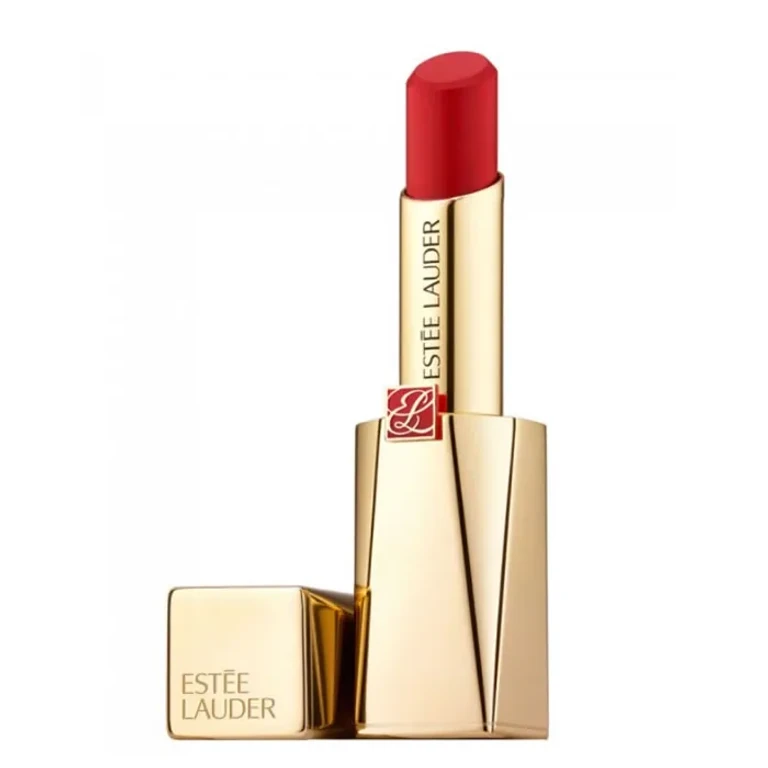 Estee Lauder Pure Color Desire 313 Bite Black Matte Lipstick