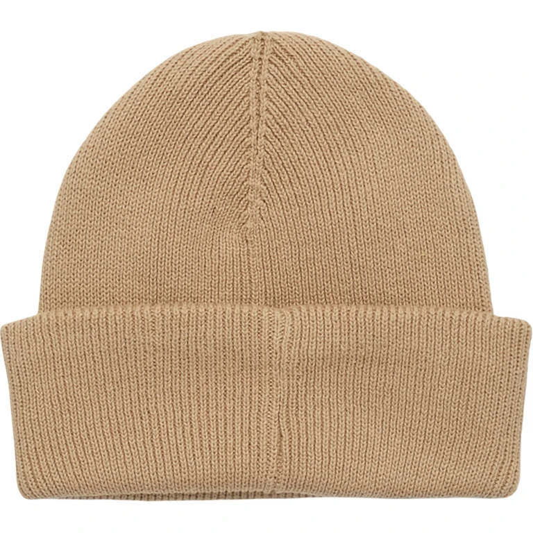 Alden Beanie