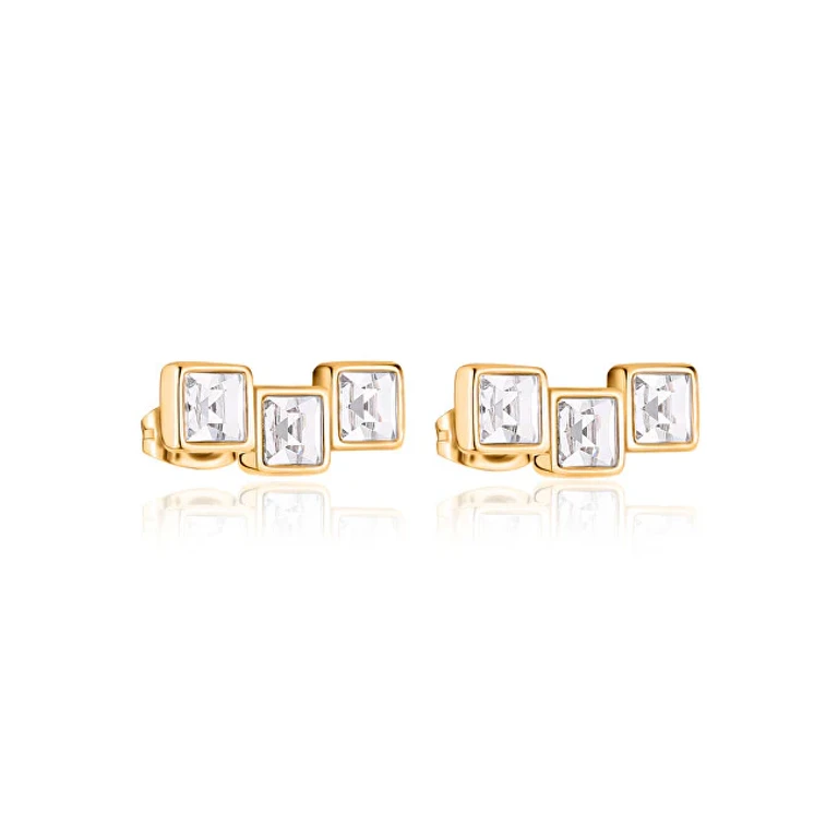 Charming Women's Earrings Light Sce34