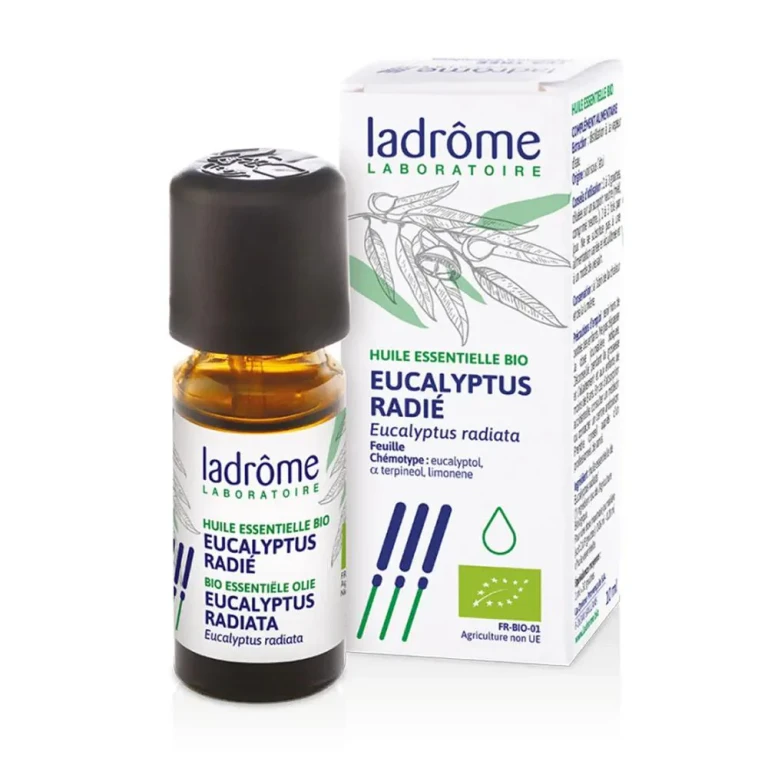 Eucalyptus Radiata Essential Oil 10ml