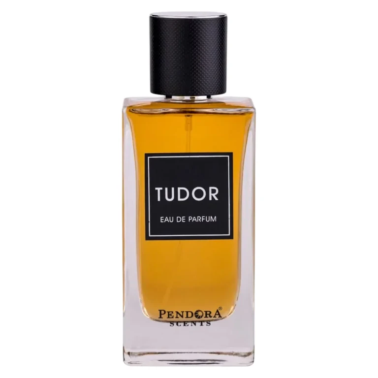Tudor Eau de Parfum for men 100 ml
