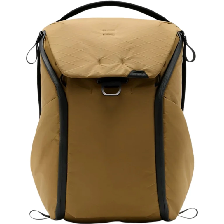 Everyday Backpack V2 20L
