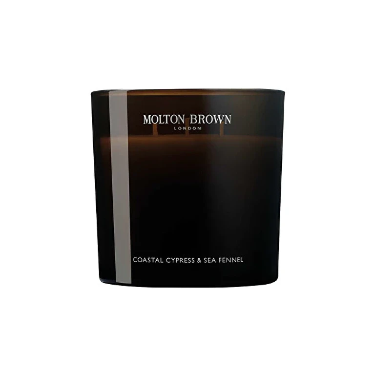 Coastal scented candle with cypress and sea fennel, 600 g