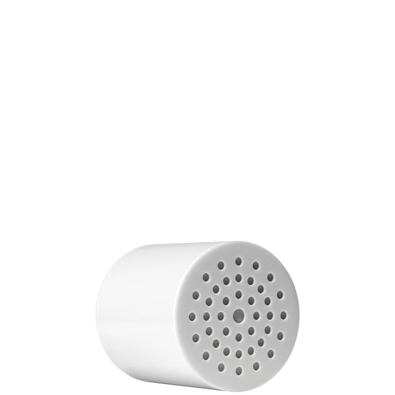 Showerhead Replacement Filter