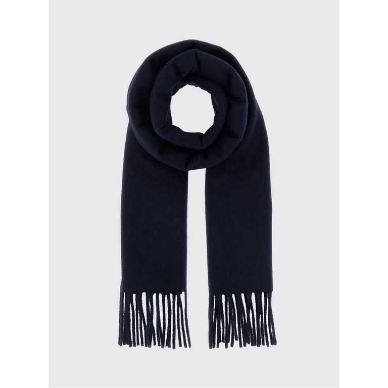 Pure Virgin Wool Scarf with Fringed Edges and Logo (J22TE0116J40376402)
