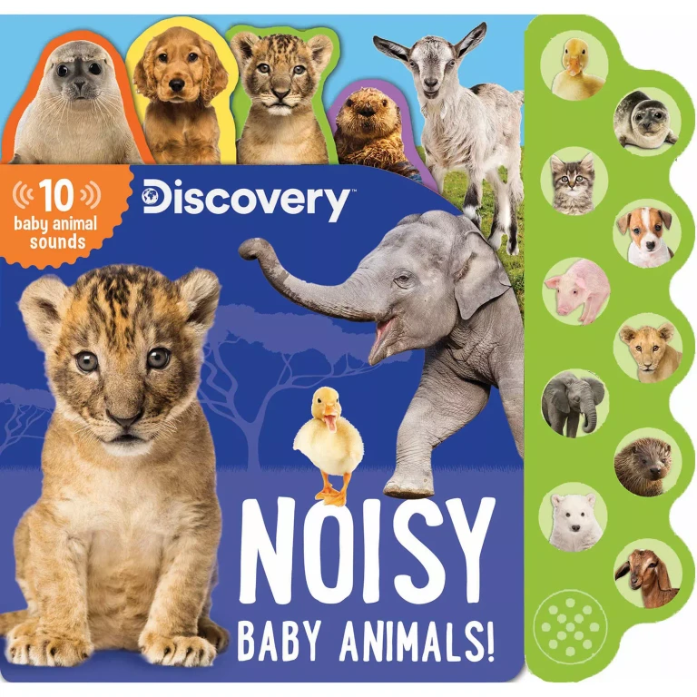 Noisy Baby Animals!, Sound Book