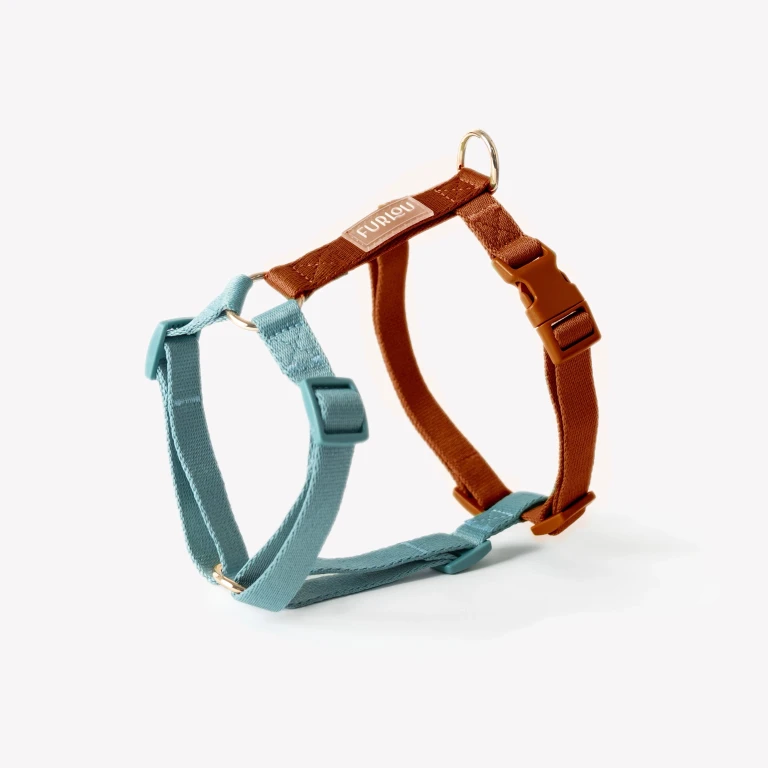 Blue and Clay - Dog Harness