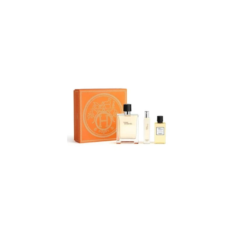 Terre D´Hermès Set regalo EDT 100 ml, miniature EDT 15 ml and Dopobarba 40 ml 100ml