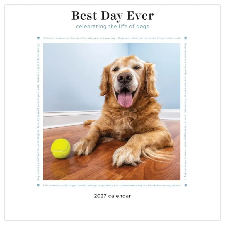 2027 Best Day Ever: Celebrating the Life of Dogs Wall Calendar