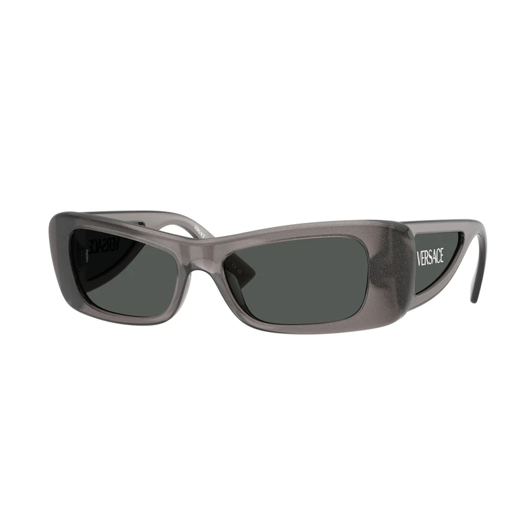 Grey Cat Eye Ladies Sunglasses VE4481 550287 54