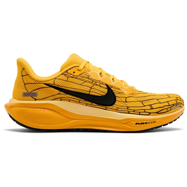 Men's Air Zoom Pegasus 41 Modern Mayfly
