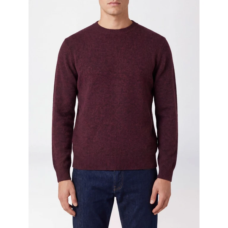 Pure Wool Crewneck Jumper with Ribbed Edges (263MYB40001BORDEAUX)