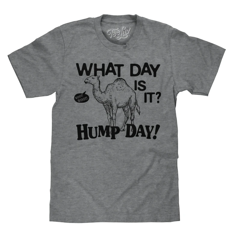 What Day Is It? Hump Day Camel T-Shirt - Gray